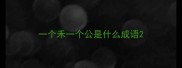 一个禾一个公是什么成语