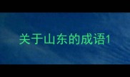 关于山东的成语