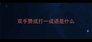 双手赞成打一成语是什么