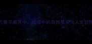 千山万壑尽藏其中成语中的自然景观与人生哲理探秘