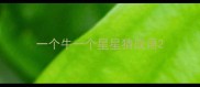 一个牛一个星星猜成语
