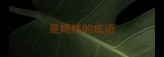 是嫣然的成语
