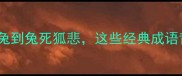 兔组成的成语趣味从玉兔到兔死狐悲这些经典成语背后的故事与使用场景全