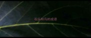 石头和鸟的成语