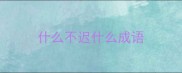什么不迟什么成语