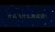 什么飞什么舞成语