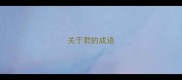 关于君的成语