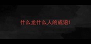 什么龙什么人的成语