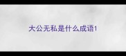 大公无私是什么成语