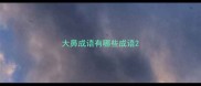 大鼻成语有哪些成语