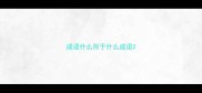 成语什么形于什么成语