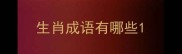 生肖成语有哪些