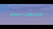 成语有什么流哪些成语