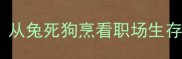 成语接龙终极指南从兔死狗烹看职场生存与趣味学习新玩法