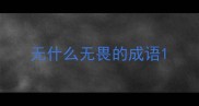 无什么无畏的成语