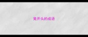 竟开头的成语