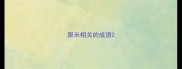 跟米相关的成语