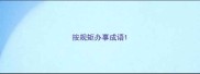 按规矩办事成语