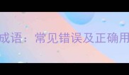言其意成语常见错误及正确用法指南
