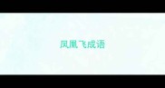 凤凰飞成语