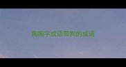 狗狗字成语带狗的成语