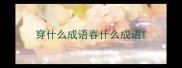 穿什么成语春什么成语