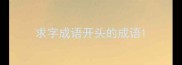 求字成语开头的成语