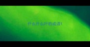 什么什么叶的成语
