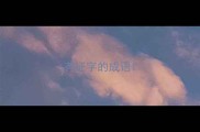 有证字的成语