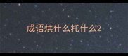 成语烘什么托什么