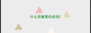 什么很重要的成语