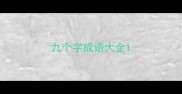 九个字成语大全