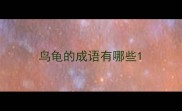 鸟龟的成语有哪些
