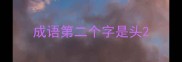 成语第二个字是头