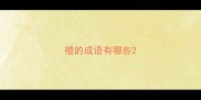 橙的成语有哪些