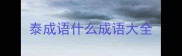 泰成语什么成语大全