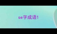 se字成语