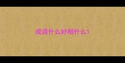成语什么好相什么