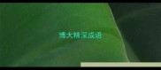 博大精深成语