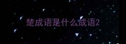 楚成语是什么成语