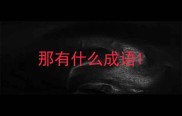 那有什么成语
