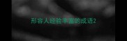 形容人经验丰富的成语