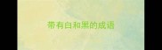 带有白和黑的成语