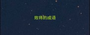 败将的成语