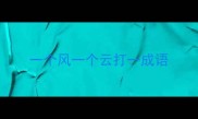一个风一个云打一成语