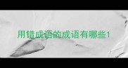 用错成语的成语有哪些