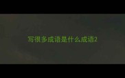 写很多成语是什么成语