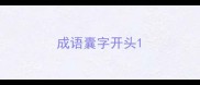 成语囊字开头