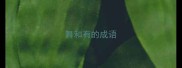 舞和有的成语