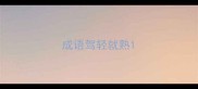 成语驾轻就熟